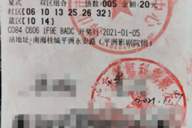 栾城为什么选择专业追讨公司来处理您的债务纠纷？